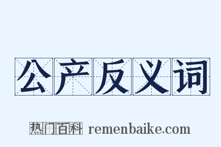 公产反义词是什么意思的图片